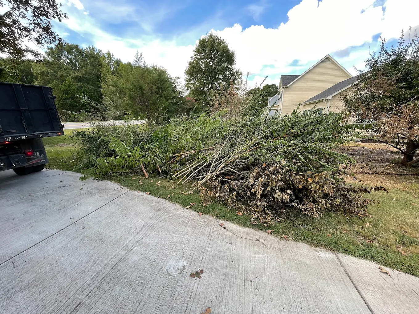 Eviction Service Zebulon | Best Construction Debris Removal